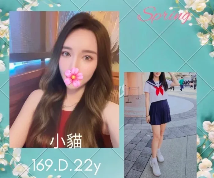 台北外送茶:小貓 169/D/22Y