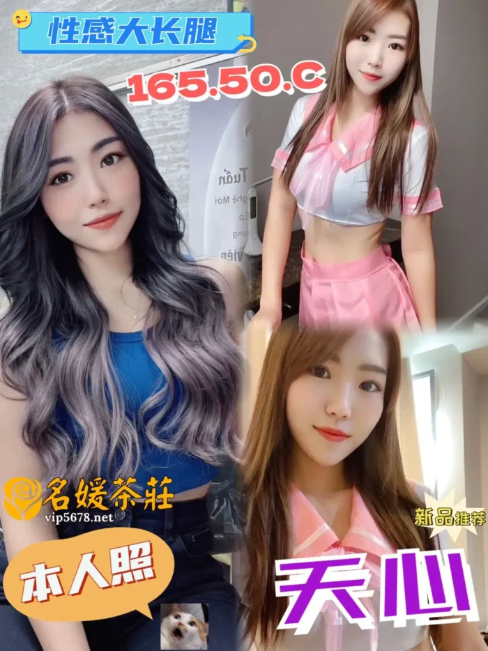 天心 165/50/C