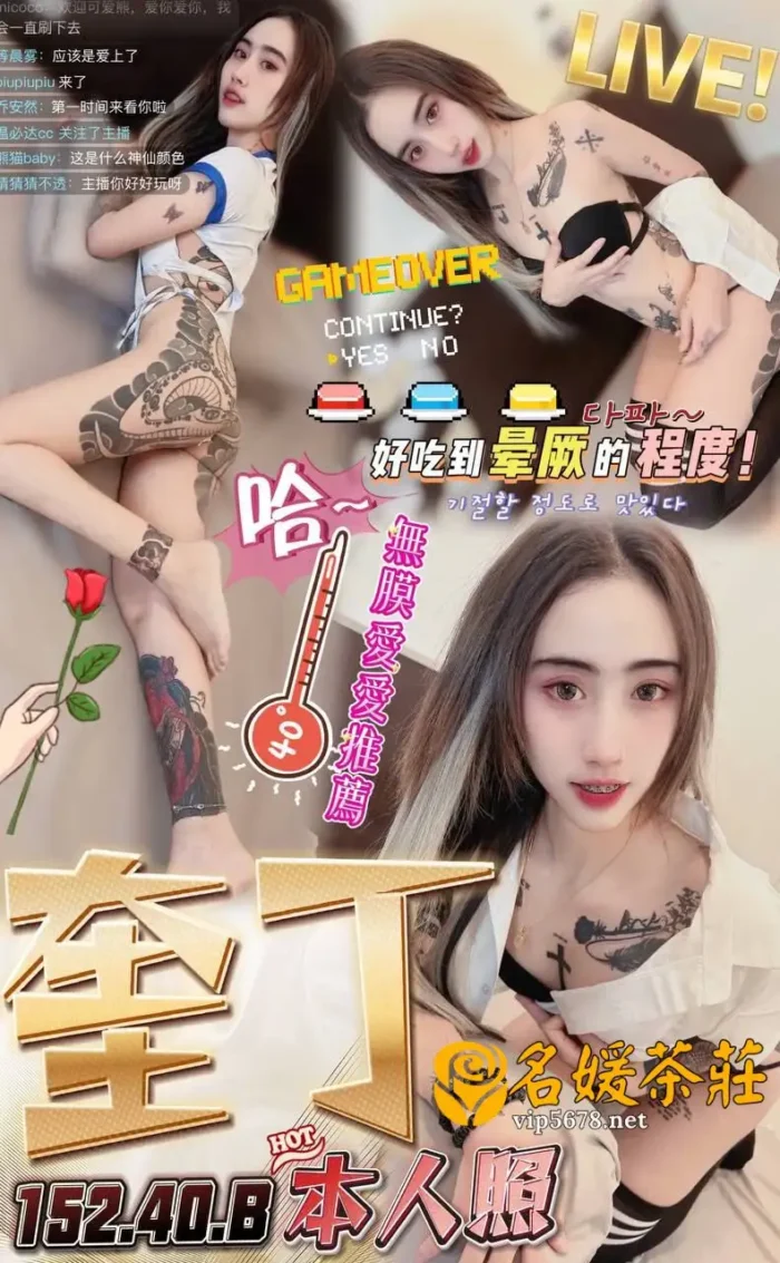 奎丁 152/40/B